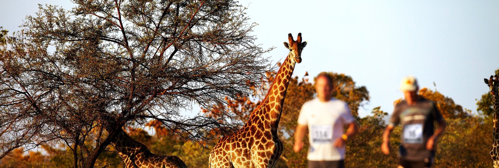 Big Five Marathon